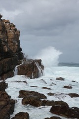 C08A7340.JPG