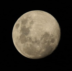 C08A7702.JPG