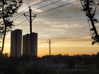 3017238
