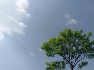 1000039865