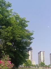 1000039874