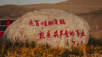 1000164358