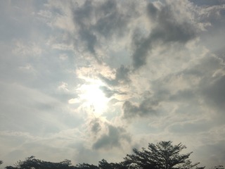 1000108965