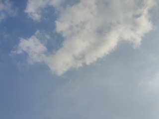 1000108974