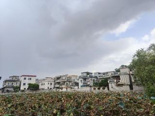 1000049331