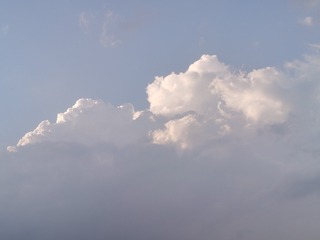 1000109130