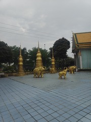 1000101612