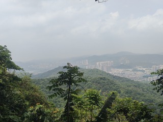 1000109324