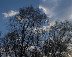 445649