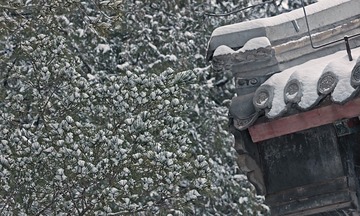 450119