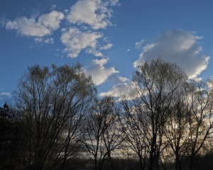445650