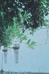 5064FA01-AA81-48FD-A4C7-75B2555FDC8A/L0/001