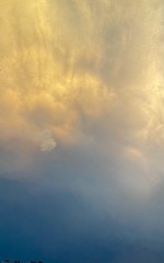 222D8381-BAD4-4AEF-932C-07645E3785BA/L0/001
