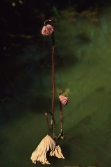 2008639