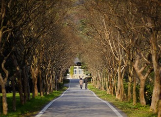 _DSC00723.jpg