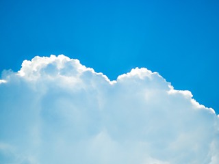 1000055683