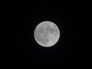 B15149FA-8AB3-4DF3-8329-FFF1A1304E5D/L0/001