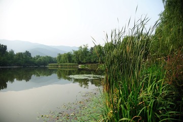DSC_3592.jpg