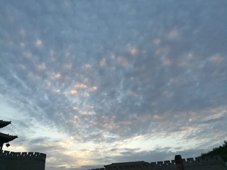67739