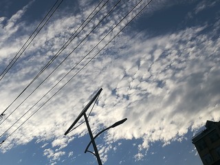 67732