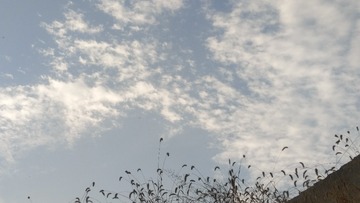 1709461