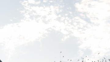 1709463