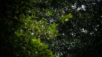 DD5F1DD4-AD7F-45FF-8FFE-DFDDB7E2A716/L0/001