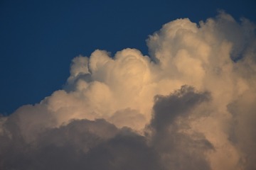 162709
