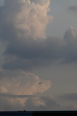 163664