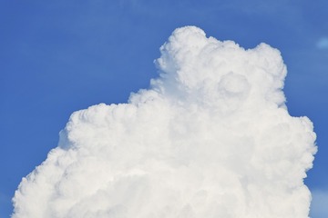 161531