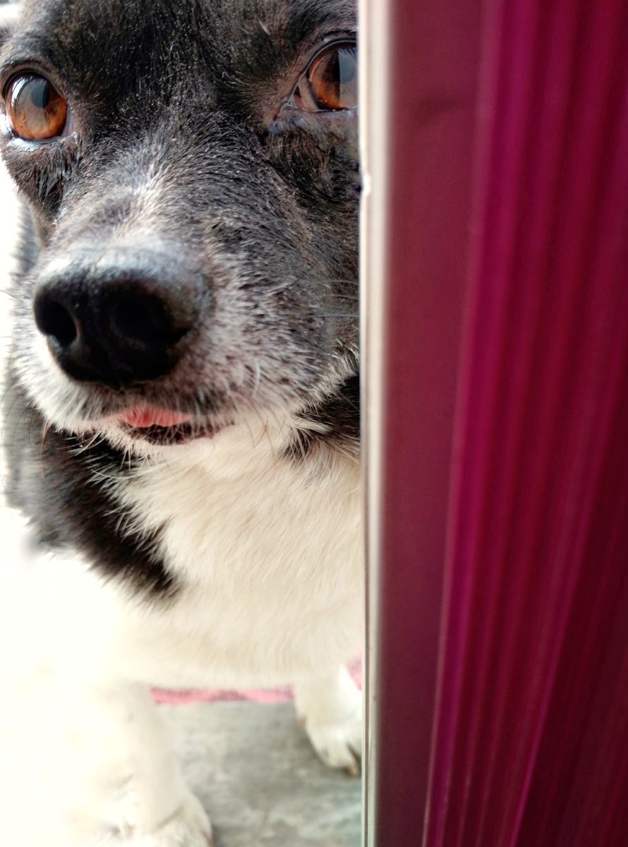 门缝里瞧人手机摄影
