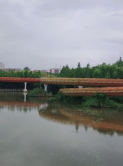 1655096