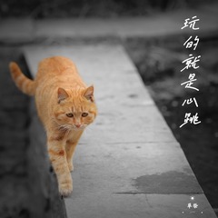 51AE625C-3599-40CA-AACA-865DBED9DD6D/L0/001