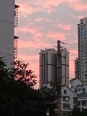 562921