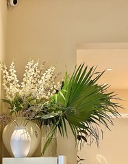 CAD53C19-75B5-4BBA-BE5C-5EA18557CB67/L0/001