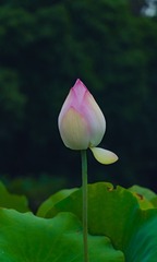 1000031457