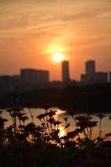 1F51B241-25C9-4711-860A-C7E8A7FA13A6/L0/001