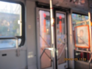 37445