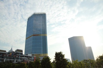 455.JPG