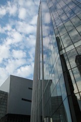 478.JPG