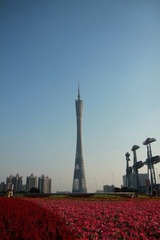 497.JPG