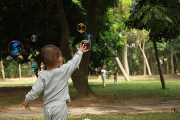 226.JPG