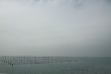 104.JPG