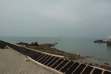 111.JPG