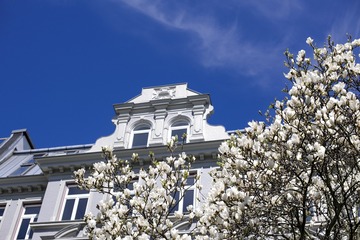 837.JPG