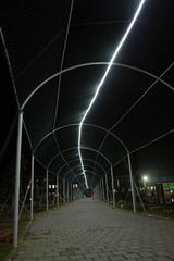 868.JPG