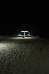 879.JPG