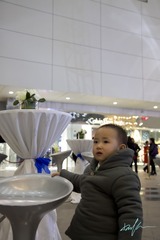 2013-01-12 SM二期 139.jpg