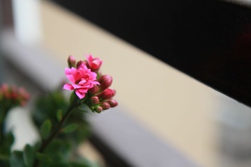 006.JPG