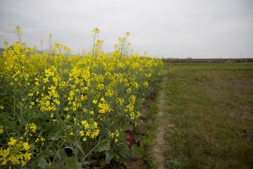 2013-02-09 除夕 065.jpg